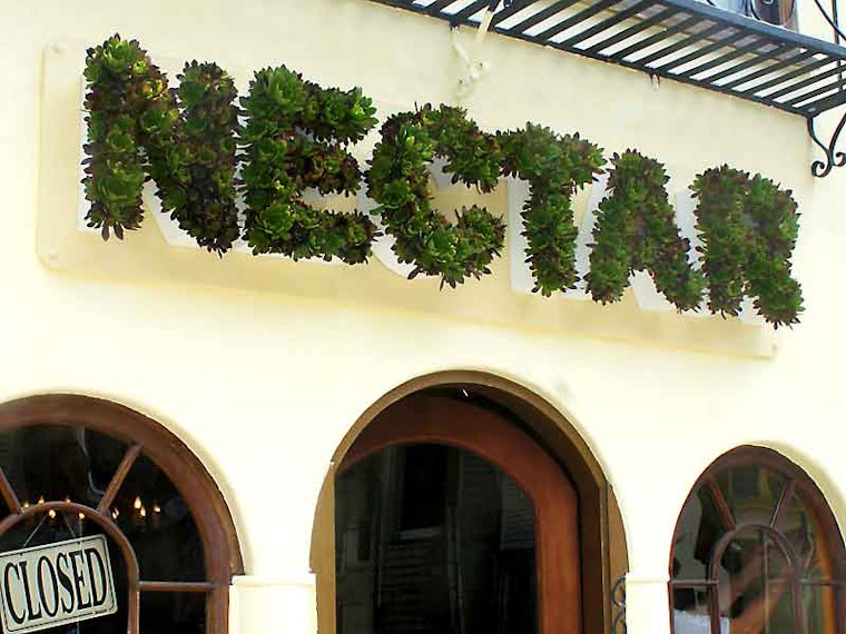 Inside Nectar, Opening Tonight at 663 Haight