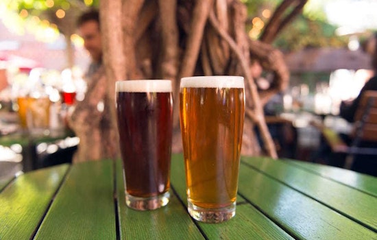 The 5 best breweries in Berkeley