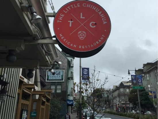 'The Little Chihuahua' Celebrates A Decade On Divisadero
