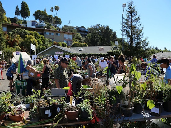 10th Annual Plant Exchange Brings Gardening Community Into Full Bloom