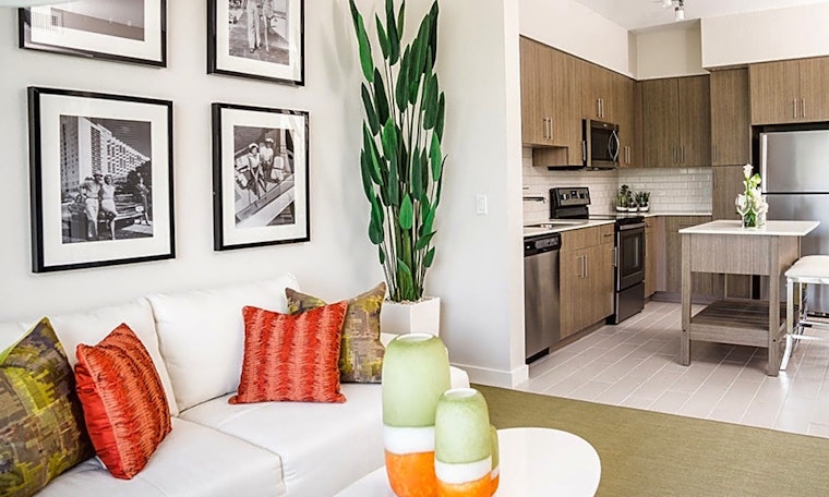 Renting in Miami: What will $3,100 get you?