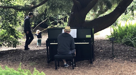 SF weekend: Flower Piano returns to the Botanical Garden, Renegade Craft Fair, live tattooing, more