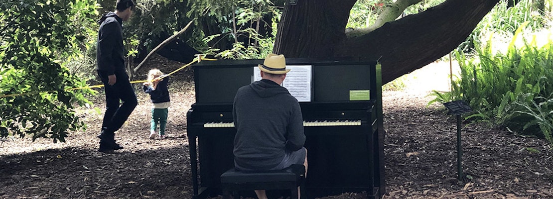 SF weekend: Flower Piano returns to the Botanical Garden, Renegade Craft Fair, live tattooing, more