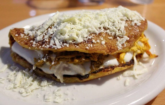 Your guide to the 4 top spots in Tampa's Lowry Park Central neighborhood