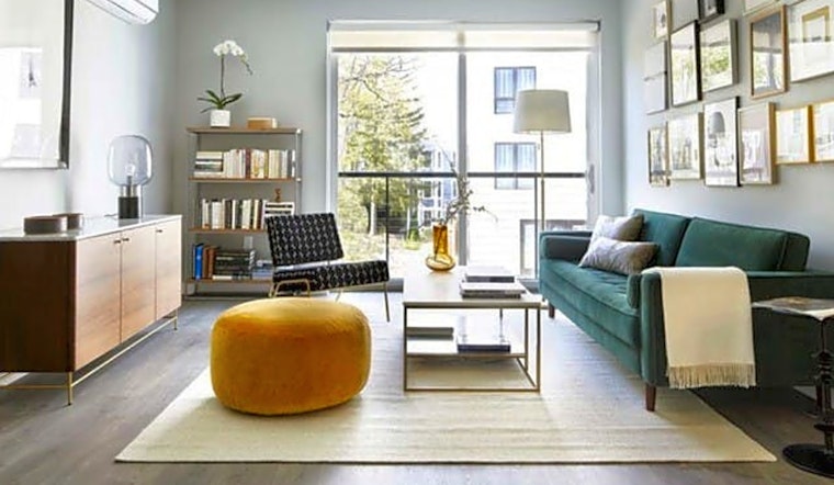 What will $3,400 rent you in Jamaica Plain, this month?