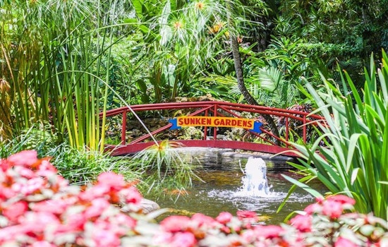 Your guide to the 3 most popular spots in Saint Petersburg's Historic Old Northeast neighborhood