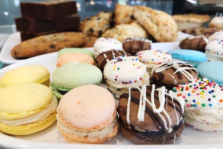Get to know the newest businesses to debut in Tampa