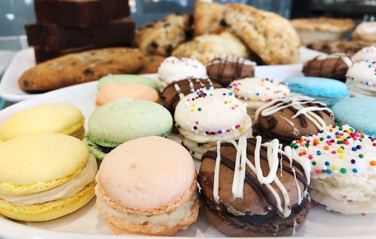 Get to know the newest businesses to debut in Tampa