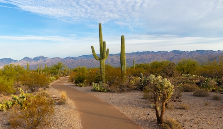 Top Tucson news: Saguaro cactus pierces driver's windshield; video shows strange lights in sky; more