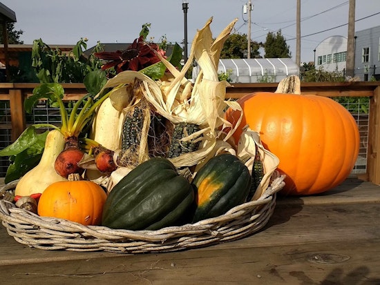 Oakland Weekend: Halloween Parties, Witches' Walk, Fundraisers, Comedy & More