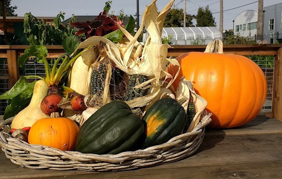 Oakland Weekend: Halloween Parties, Witches' Walk, Fundraisers, Comedy & More