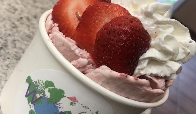 New ice cream and frozen yogurt spot Around the World Cafe debuts in South Park