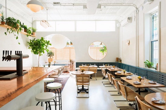 New Williamsburg wine bar Apollonia opens its doors