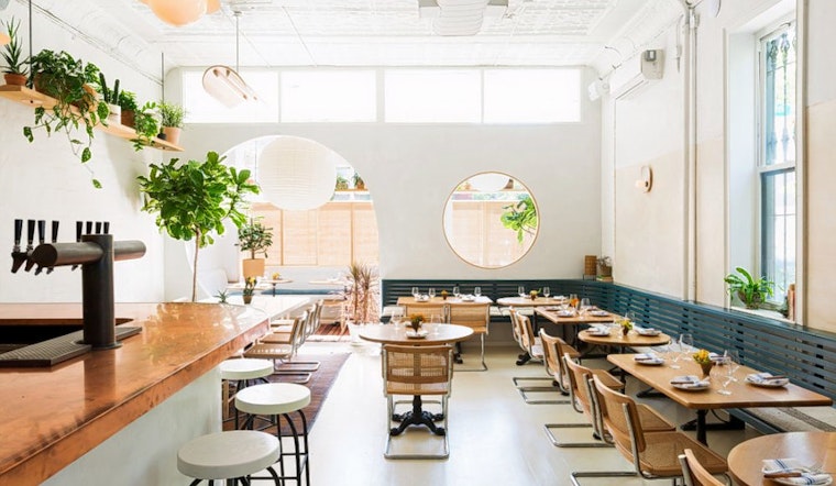 New Williamsburg wine bar Apollonia opens its doors