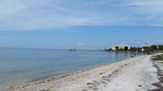 Top Tampa news: Health advisory for area beaches; fans rejoice at return of Anime fest MetroCon