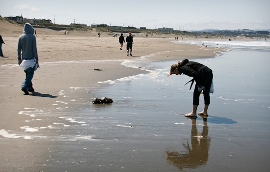 SF weekend: Ocean Beach cleanup, 'Far Out' space exhibition, SF Anime Festival, more