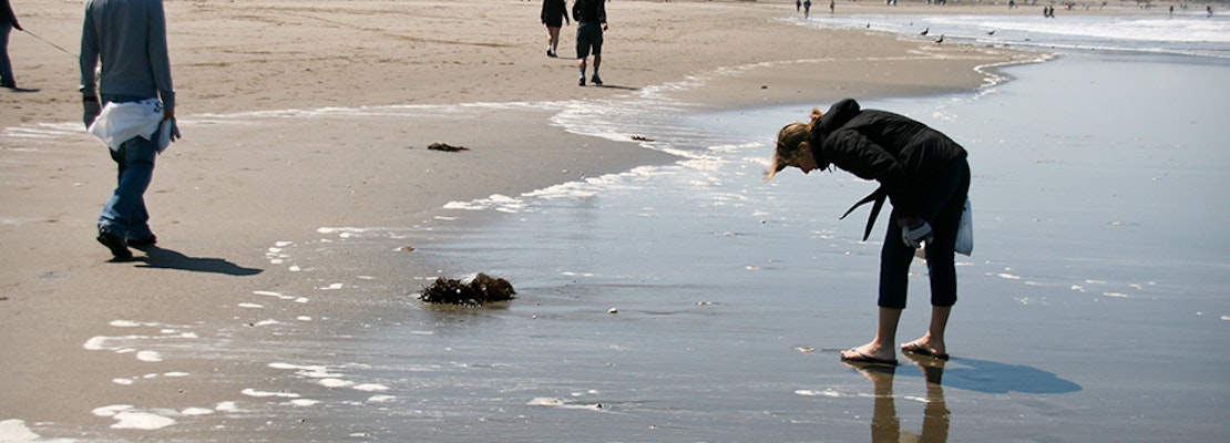 SF weekend: Ocean Beach cleanup, 'Far Out' space exhibition, SF Anime
