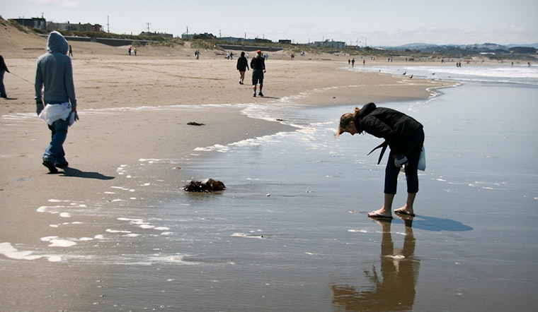 SF weekend: Ocean Beach cleanup, 'Far Out' space exhibition, SF Anime Festival, more