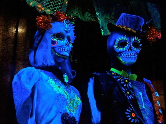 Halloween in the Lower Haight: a Photo Sampler