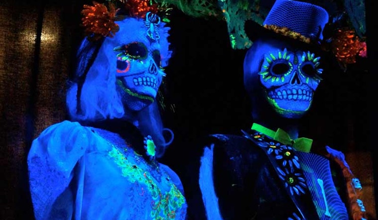 Halloween in the Lower Haight: a Photo Sampler