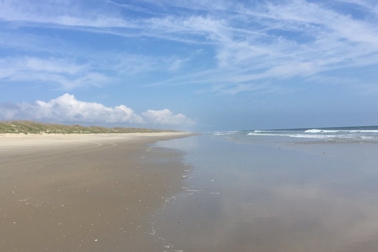 Top Virginia Beach news: Sea lice invade beaches; body believed to be teacher's found off False Cape