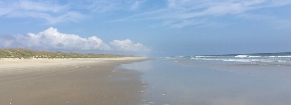 Top Virginia Beach news: Sea lice invade beaches; body believed to be teacher's found off False Cape