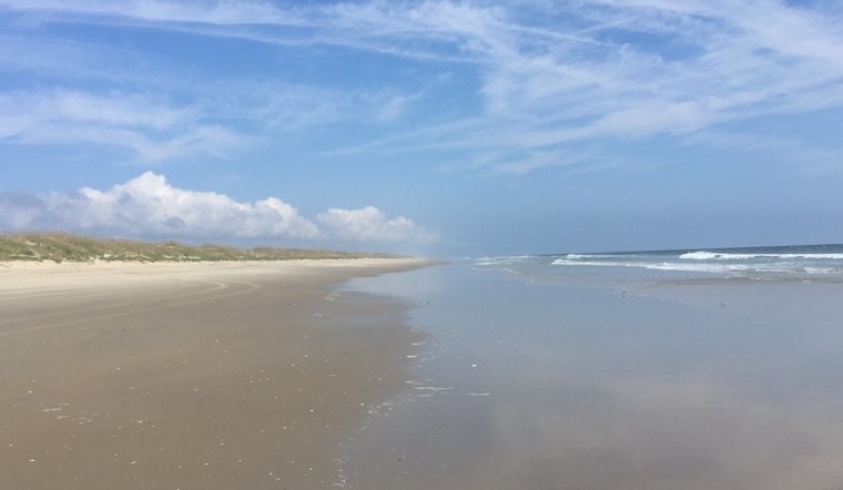 Top Virginia Beach news: Sea lice invade beaches; body believed to be teacher's found off False Cape