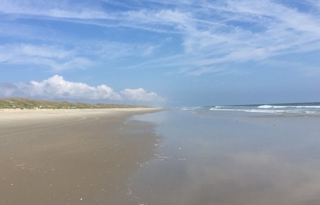 Top Virginia Beach news: Sea lice invade beaches; body believed to be teacher's found off False Cape
