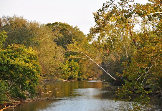 Top Raleigh news: Fecal bacteria found in Neuse River; athletes team up for Raleigh vs. Durham game