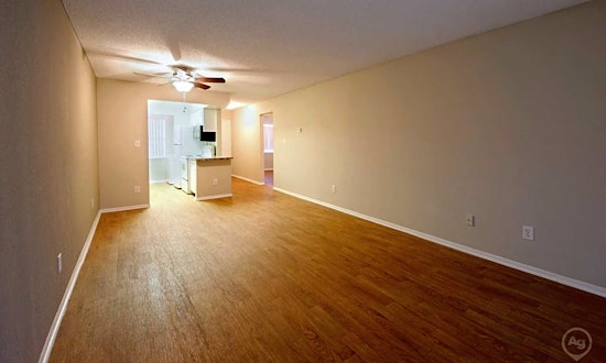 Renting in Orlando: What will $1,000 get you?