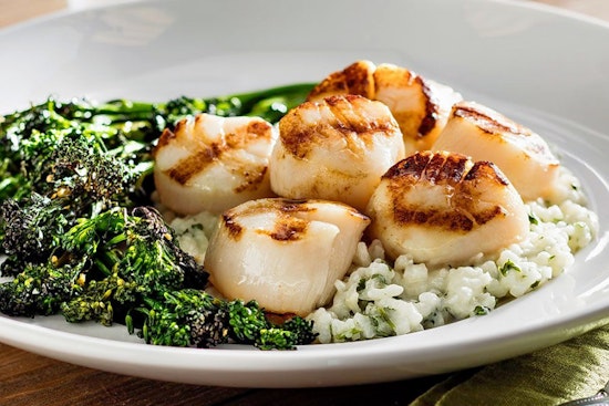 Check out the 4 top spots in Tampa's West Shore Palms neighborhood