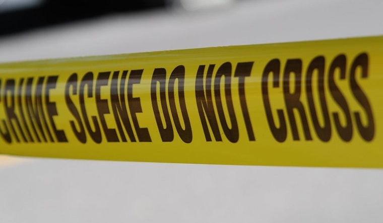 Top Charlotte news: Kids witness mom's murder as she tries to protect them; police seek Peeping Tom