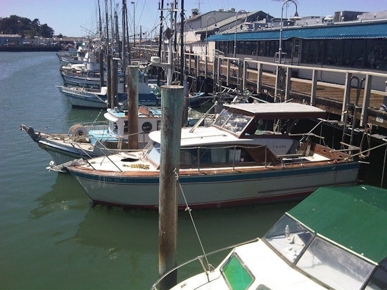 Boatside Seafood Sales Resume At Fisherman's Wharf
