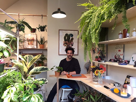 Urban Garden Shop 'Plants And Friends' Sprouts In Hayes Valley