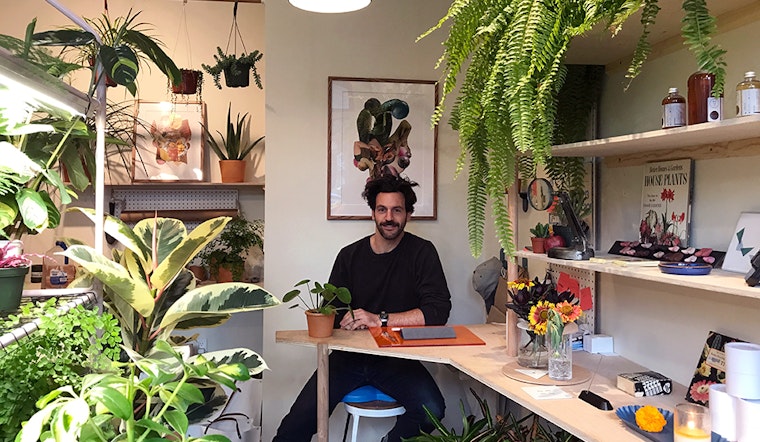 Urban Garden Shop 'Plants And Friends' Sprouts In Hayes Valley