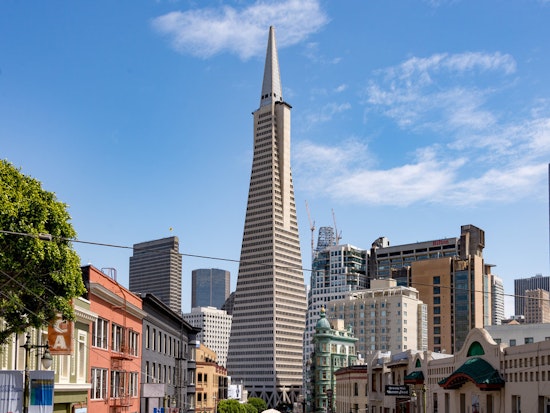 FiDi & North Beach Crime: Driver Robs Passenger, Hot Prowler Bashes Door, More
