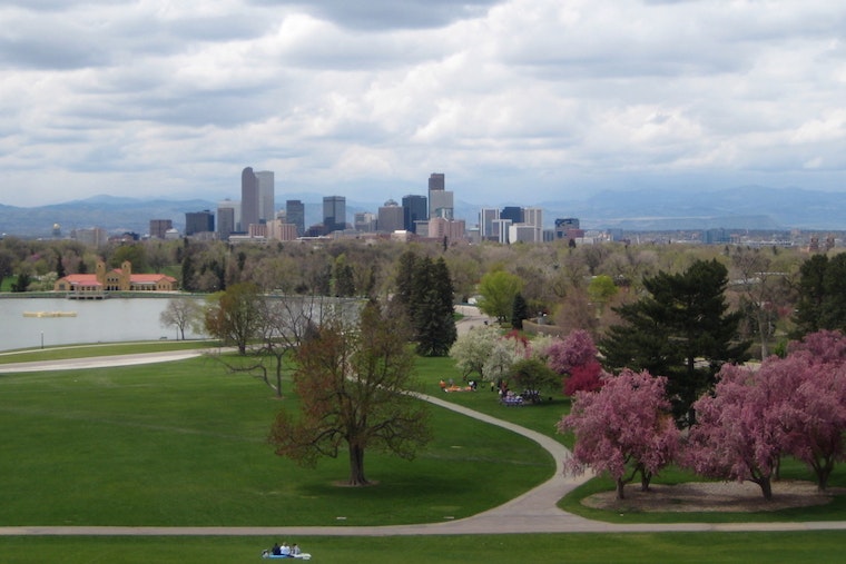 Top Denver news: 17-year-old grizzly bear dies at zoo; apartment owner  fined for rat infestation