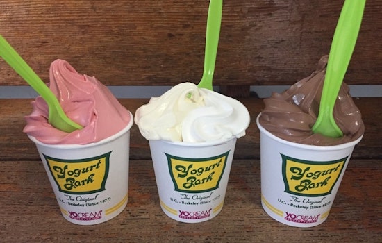 Plan your National Ice Cream Day around one of Berkeley's top frozen dairy destinations