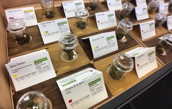 Councilmember Pushes To Streamline Cannabis Permits