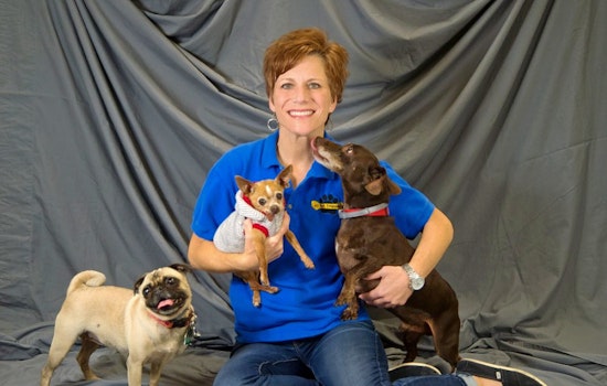 The 4 best pet stores in Oklahoma City