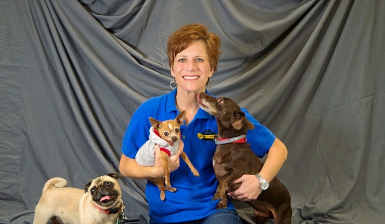 The 4 best pet stores in Oklahoma City