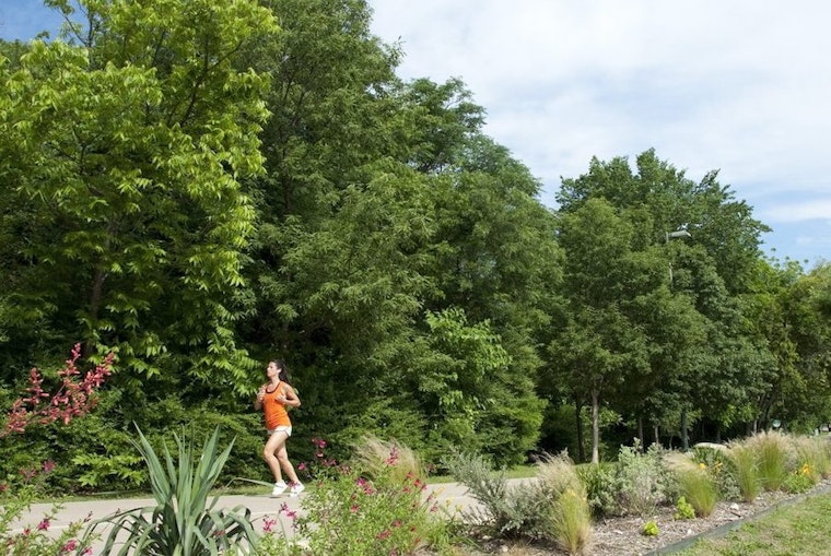 Top Dallas news: Expansion planned for Katy Trail; aunt charged in connection with boy's death