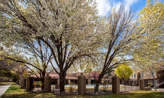 Renting in Albuquerque: What will $600 get you?
