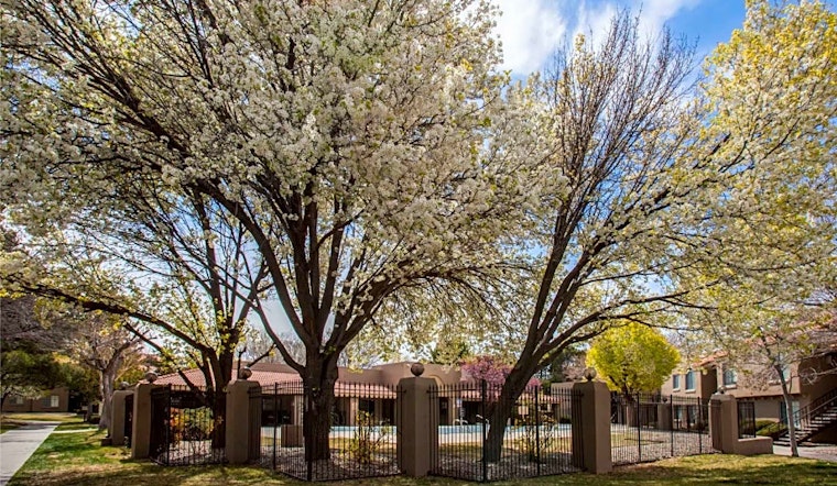 Renting in Albuquerque: What will $600 get you?