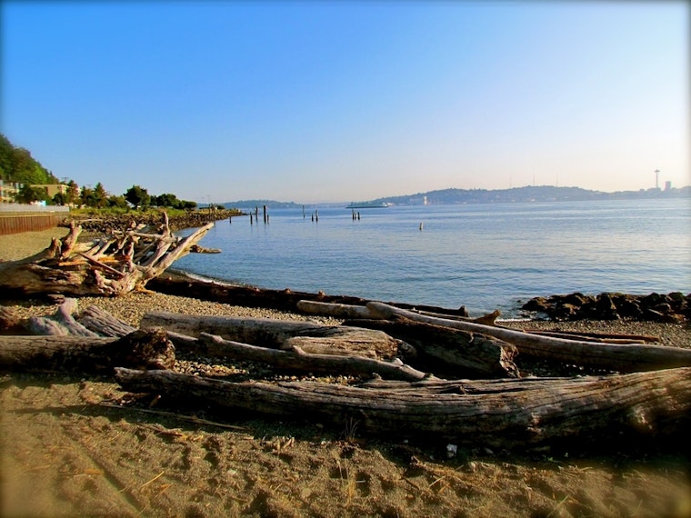 Top Seattle news: Man who took refuge in church turns himself in to ICE; tribal canoes arrive; more