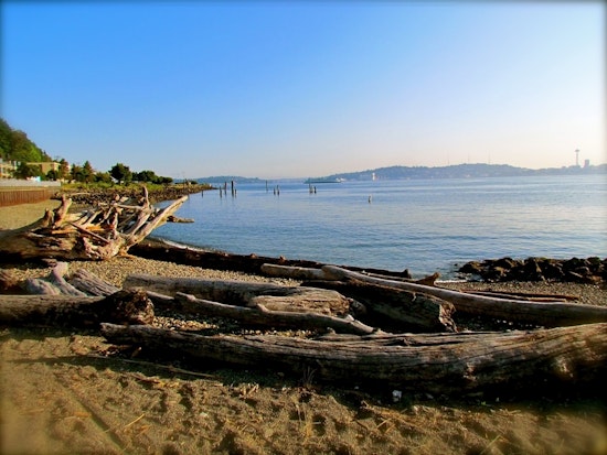 Top Seattle news: Man who took refuge in church turns himself in to ICE; tribal canoes arrive; more