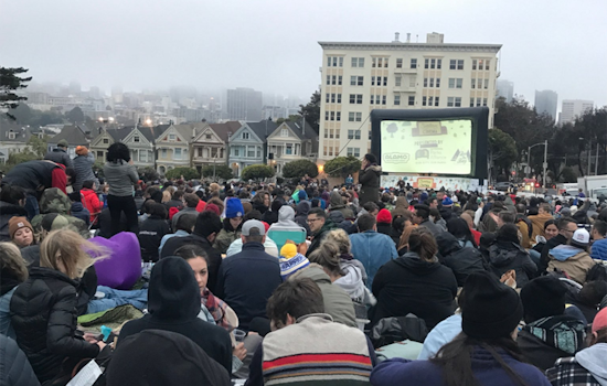 SF weekend: Sundown Cinema in Alamo Square, baby penguin march at the Zoo, kitten adoptions, more