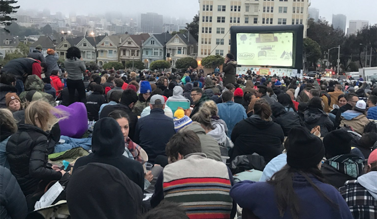 SF weekend: Sundown Cinema in Alamo Square, baby penguin march at the Zoo, kitten adoptions, more