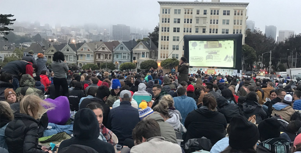 SF weekend: Sundown Cinema in Alamo Square, baby penguin march at the Zoo, kitten adoptions, more