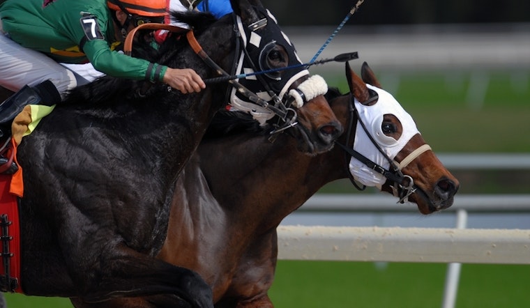 Top LA news: City to consider banning horse racing; 1960s prankster Paul Krassner dies at 87; more